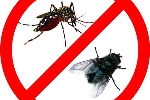 Phun thuốc diệt côn trùng chống dịch sốt xuất huyết